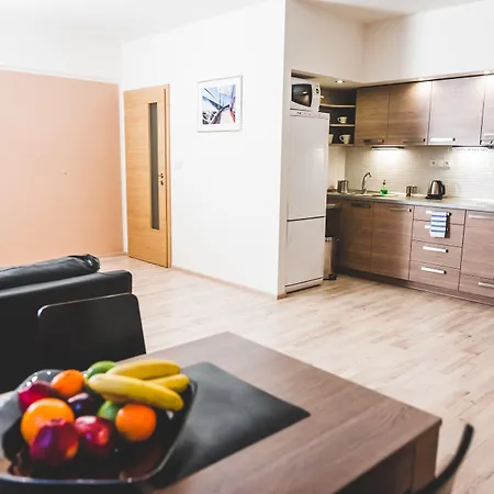 ボロメウム レジデンス Hradec Králové