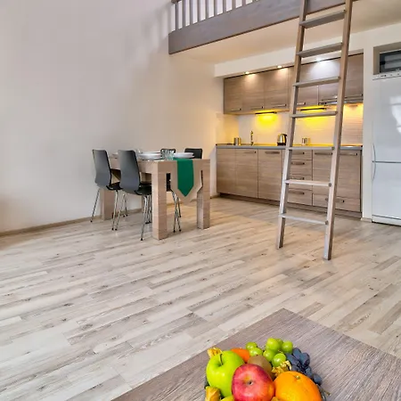 Lejlighedshotel Boromeum Hradec Králové